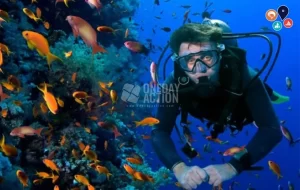 Kemer Scuba Diving Tour | Kiriş and Aquarium Bay | 2 Times Diving