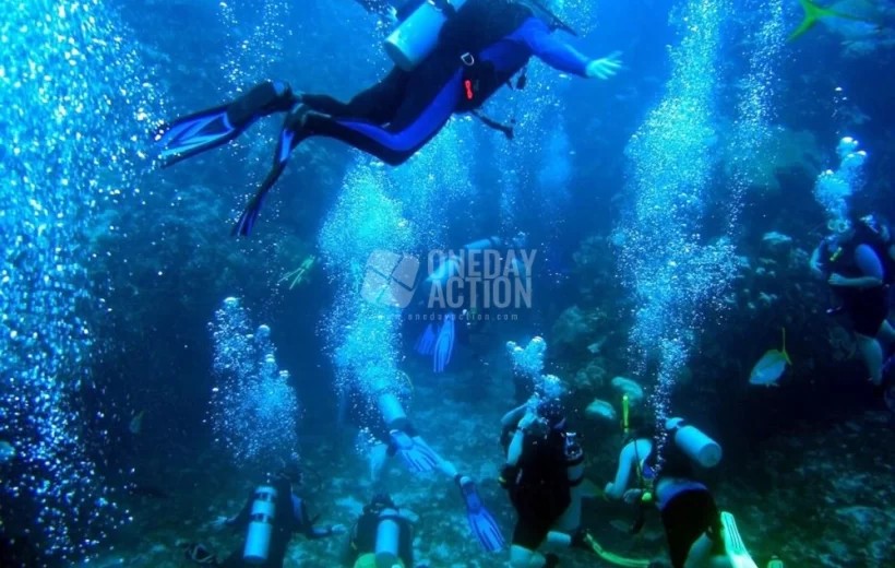 Oludeniz Scuba Diving Tour | Oludeniz Bays | Single Dive | Satisfaction Guaranteed!