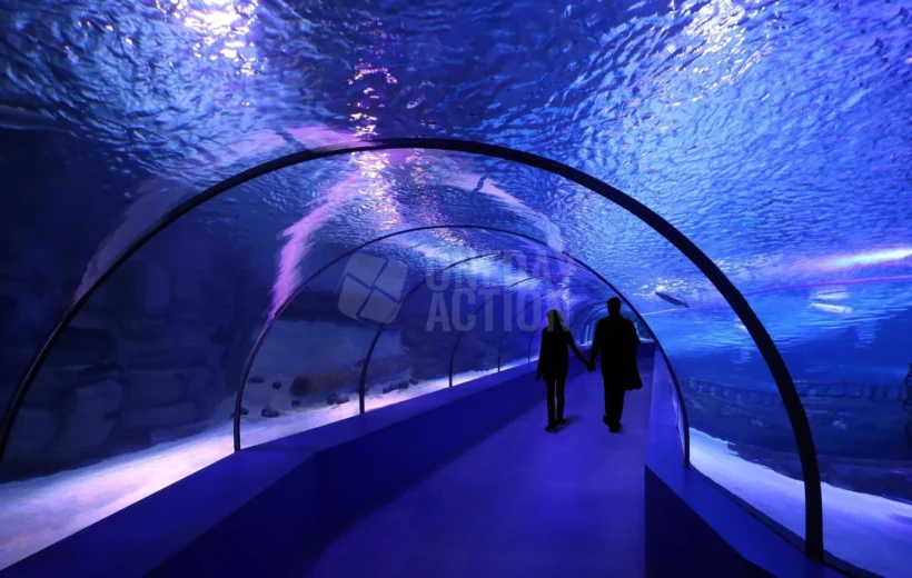 Antalya Aquarium Tour | Europe’s Largest Aquarium | Discover Marine Creatures!